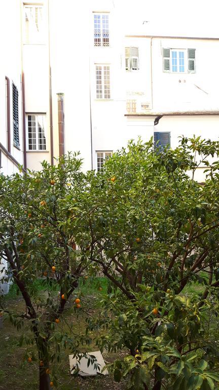 Torre Cepollini Ξενοδοχείο Αλμπένγκα Εξωτερικό φωτογραφία